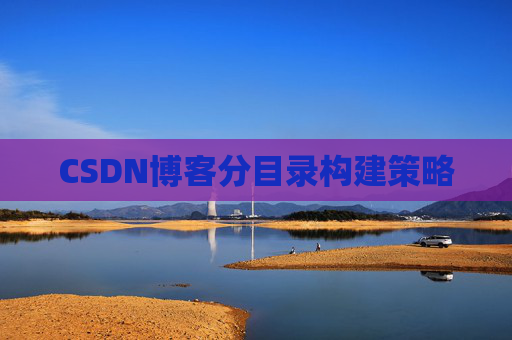 CSDN博客分目录构建策略